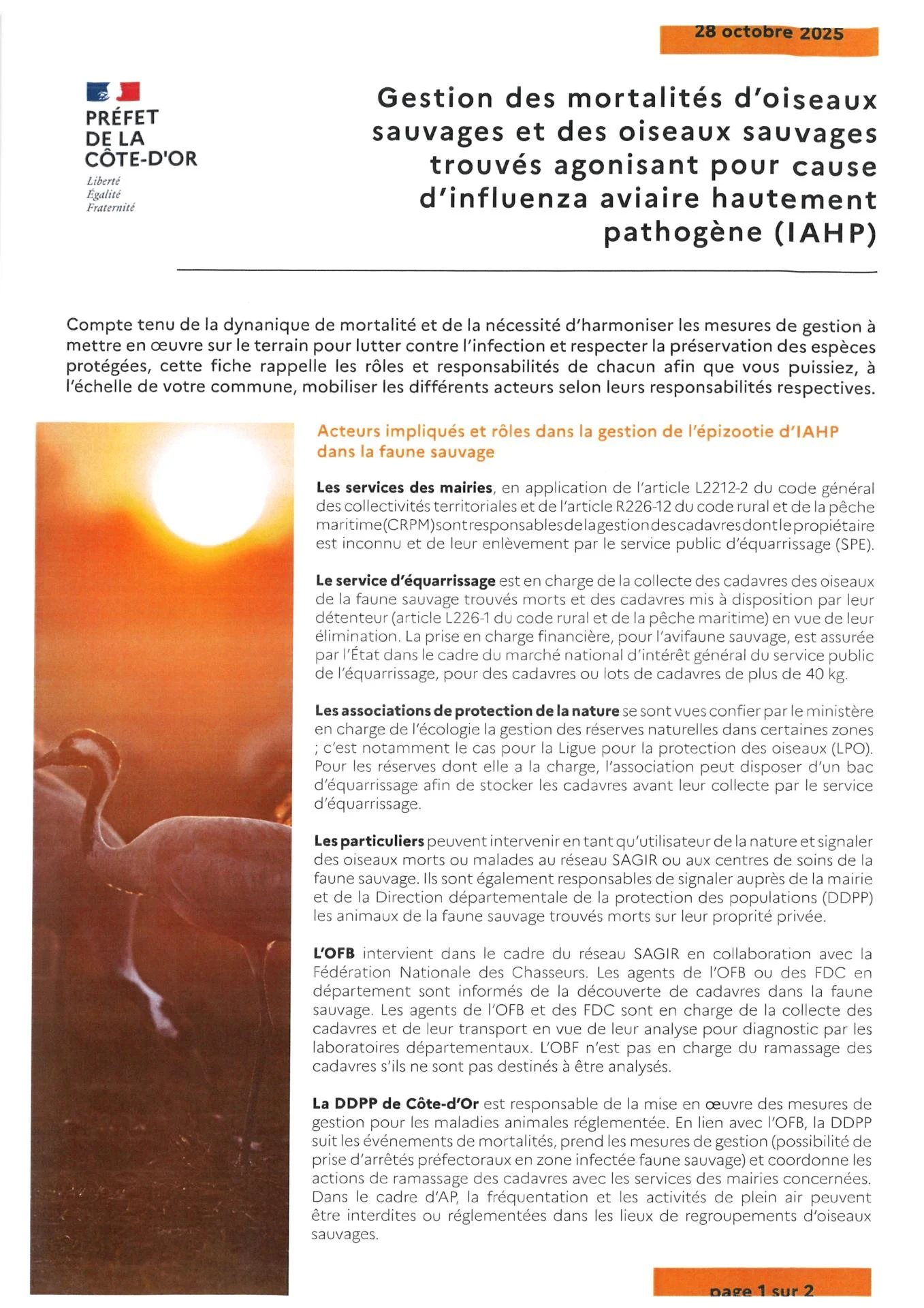 20251113182641 00002